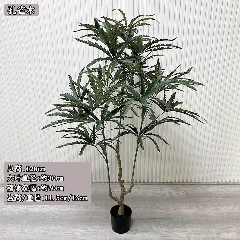 批发仿真孔雀木八角叶人造植物盆栽喜庆吉祥寓意哑光树孔雀木假树