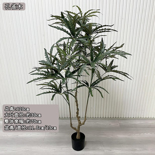 批发仿真孔雀木八角叶人造植物盆栽喜庆吉祥寓意哑光树孔雀木假树