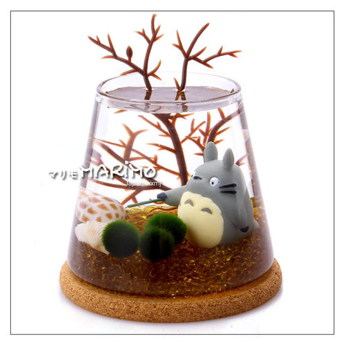 富士山海藻摆微景观生态瓶批发多规格marimo水培植物球饰