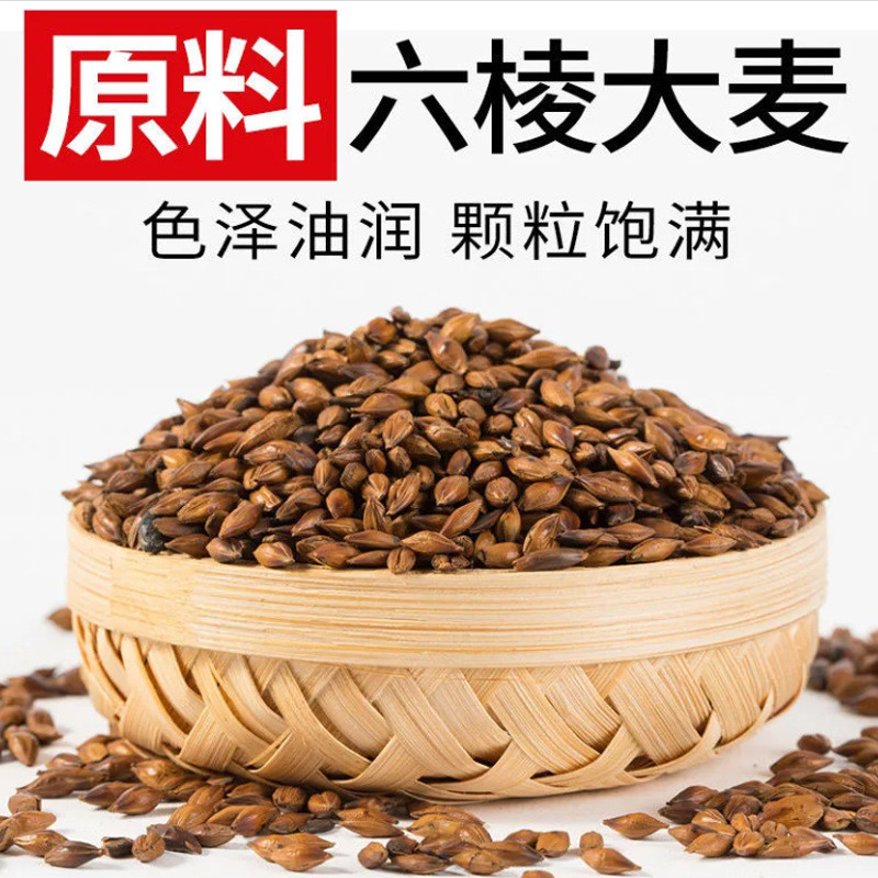 新日期大麦茶原味养胃小包装烘培浓香型吸油养生茶袋装解油腻大麦