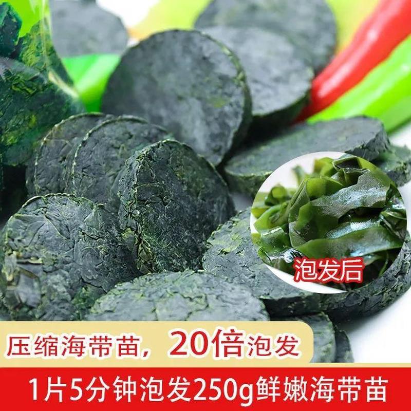 新日期压缩海带苗圆饼泡发无沙免洗脆嫩海带裙带菜海带丝干货连江