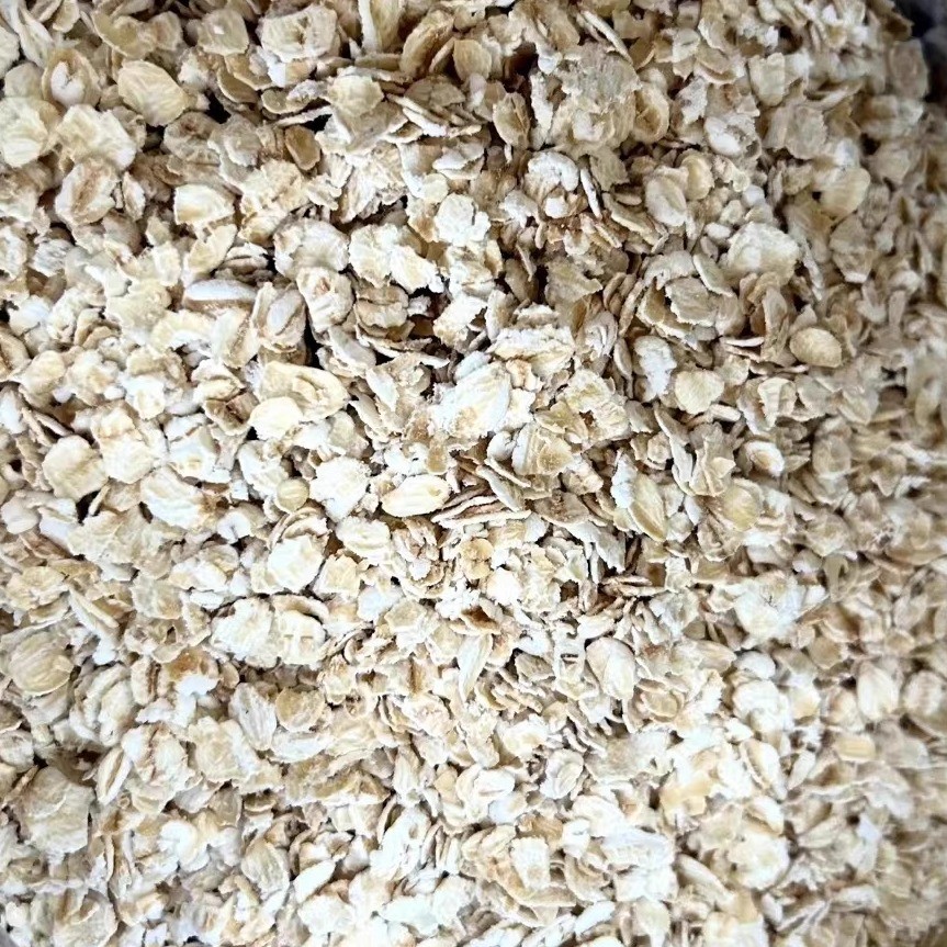 现货桂格燕麦片490g独立小包装原味纯麦片即食免煮便携冲泡早餐代