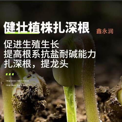 微生物菌剂强力生根液生物发酵蔬菜草莓调土效根壮苗三养根立旺