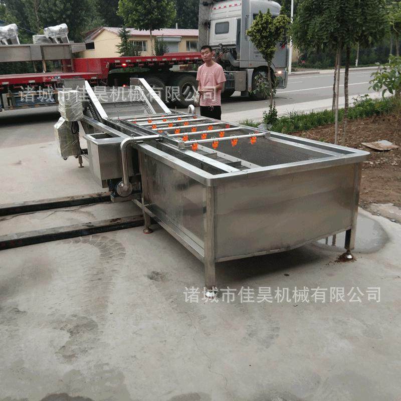 热销中央气泡清洗机玉米清洗机蔬果厨房净菜清洗机果蔬清洗机