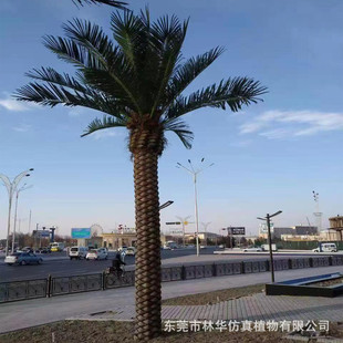 仿真海藻小区 大型仿真海枣树树绿化热带景观树 加纳利海藻树