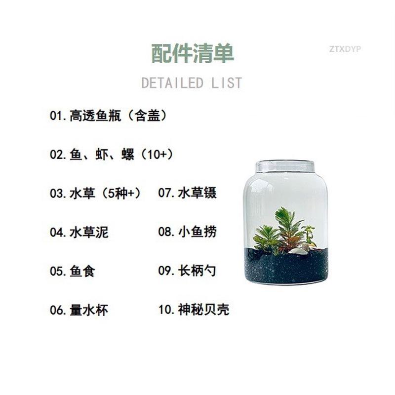 微型水草生态缸生态瓶办公室小鱼微景观面虾鱼缸玻璃办公桌换水免