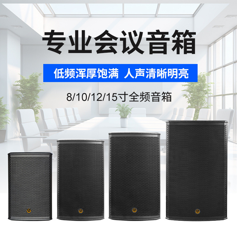 8/10/12/15寸专业会议音箱工程演讲培训多功能厅教室壁挂音箱