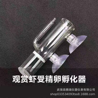 气动式受精水晶虾孵化器丰年虾培养箱过滤器玻璃受精卵人工虾卵器