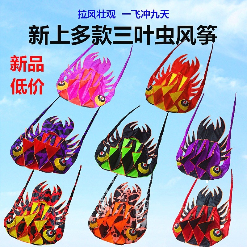 工厂批发潍坊风筝亚马逊大小型立体无骨易飞新款三叶虫软体风筝