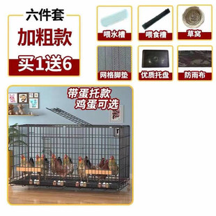 鸡笼子家用室外鸡舍棚农村养鸡笼小鸡笼自动清侏儒兔户外粪芦丁鸡