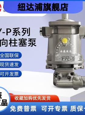 南通津达液压HY10 25 63 80 160 250P01 P02 P03 P04-RP恒压 油泵