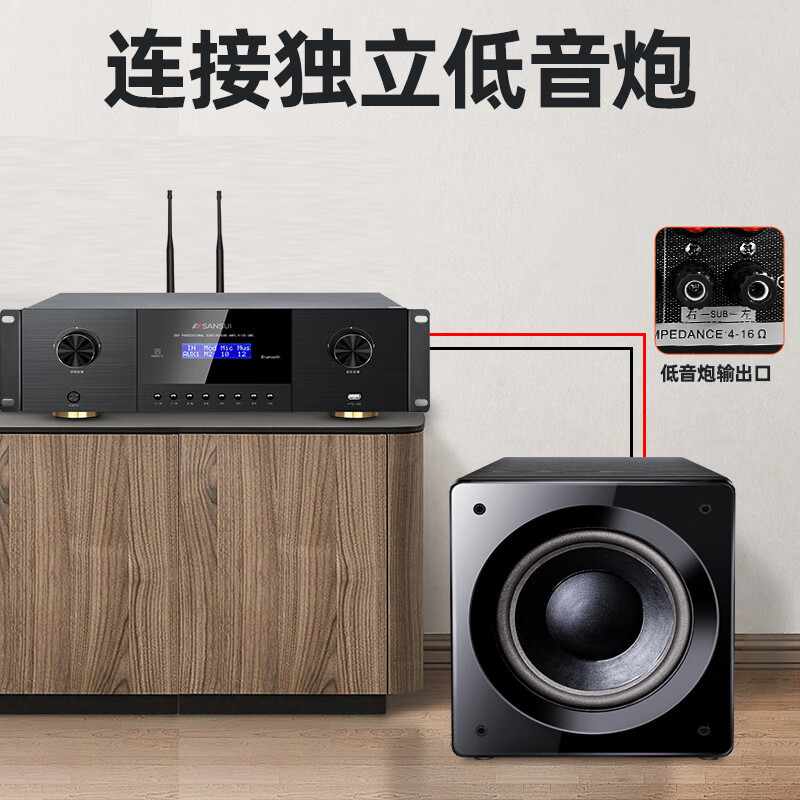 山水（SANSUI）FK-101专业10喇叭家用商用家庭美声k歌音响套装点