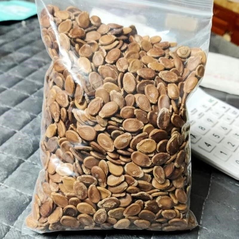 新日期原味生红瓜子熟红瓜子农家大粒咸味蒸汽水煮瓜子1斤2斤3斤5