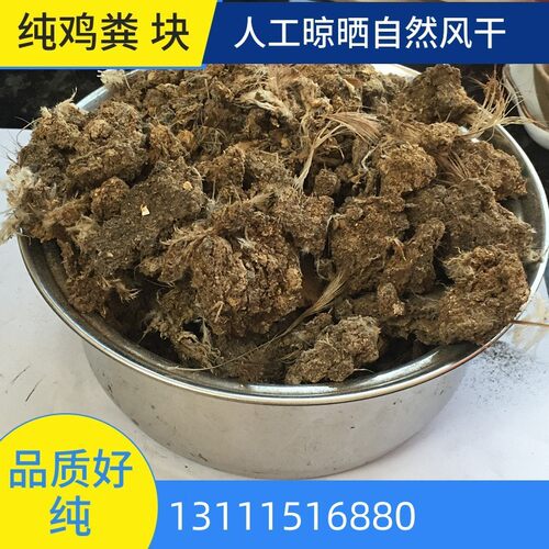 直发厂区人工晾晒纯干鸡粪块有机肥鸡粪块肥料鸡粪肥