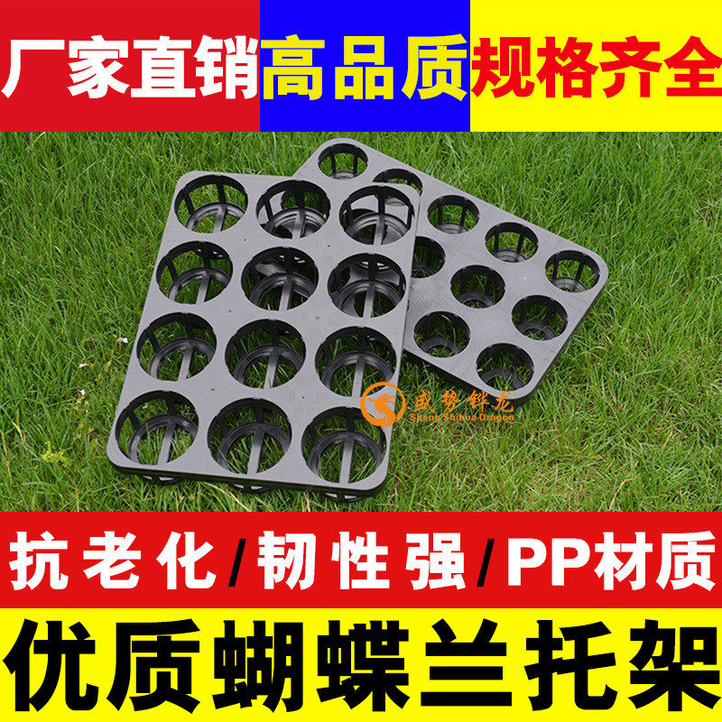 12孔15孔穴盘托盘花卉育苗盆托架塑料托盘蝴蝶兰穴盘育苗托盘
