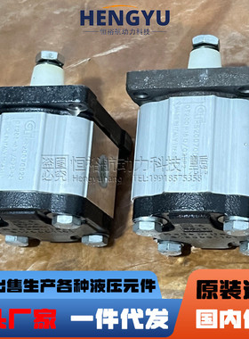 热销布雷维尼brevini液压泵ot200p14d/g28p2 ot200p08d油泵 16d齿