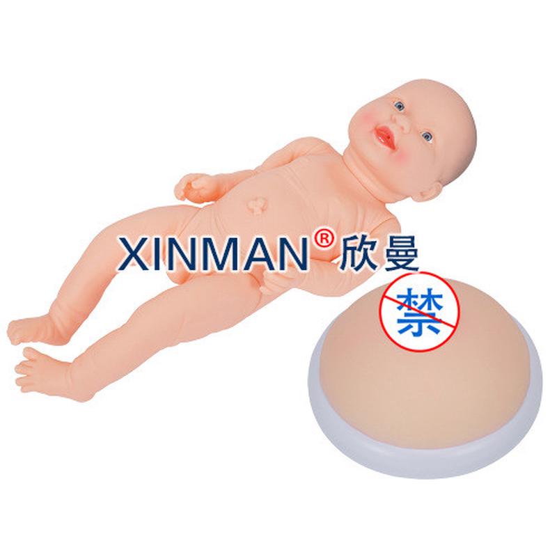 母乳喂养哺乳模型