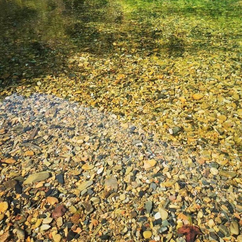 原生溪流沙鱼缸造景增色底砂大矶砂溪流石虾虎雷龙发色溪流砂