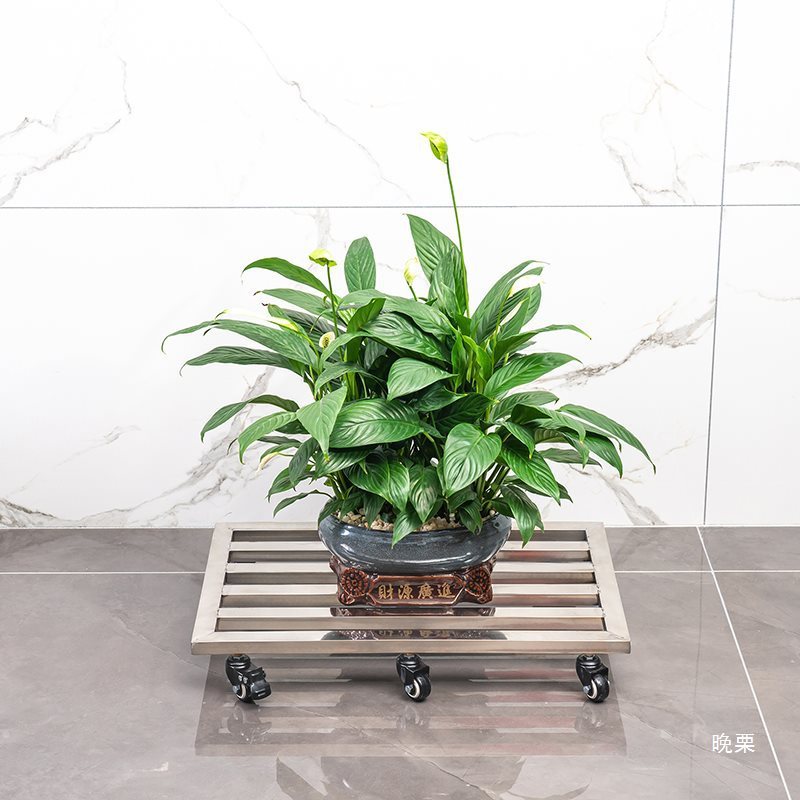 热销不锈钢移动托盘正长方形花盆底座支架托架万向轮加厚底盘承重
