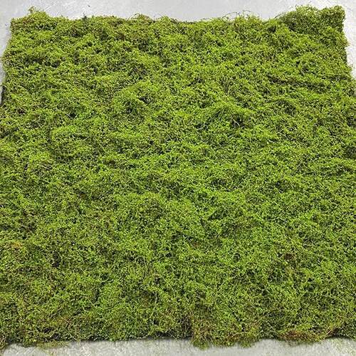 仿真棕丝苔藓造景草皮diy手工装饰绿植套装景观摆件布置