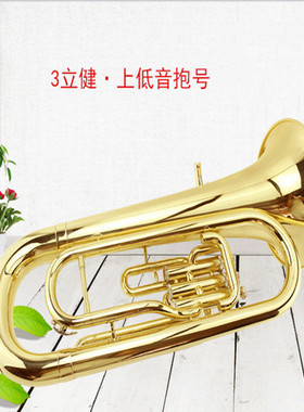麦格维特降B调三立键上低音号MAS-308初学乐队演奏大抱号乐器