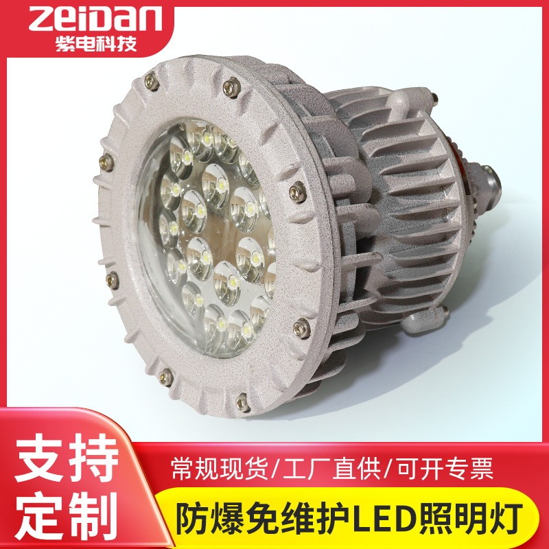 LED防爆灯加油站工业厂防爆免维护隔爆型投光灯泛光灯KHD210型
