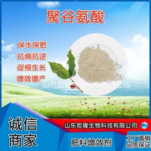 农业级聚抗病γ pga10%增肥效谷氨酸抗逆叶面肥冲施肥聚谷氨酸