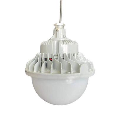 森本防爆FGV6215LED免维护节能防水防尘防腐灯50WFGQ1215粮舱灯