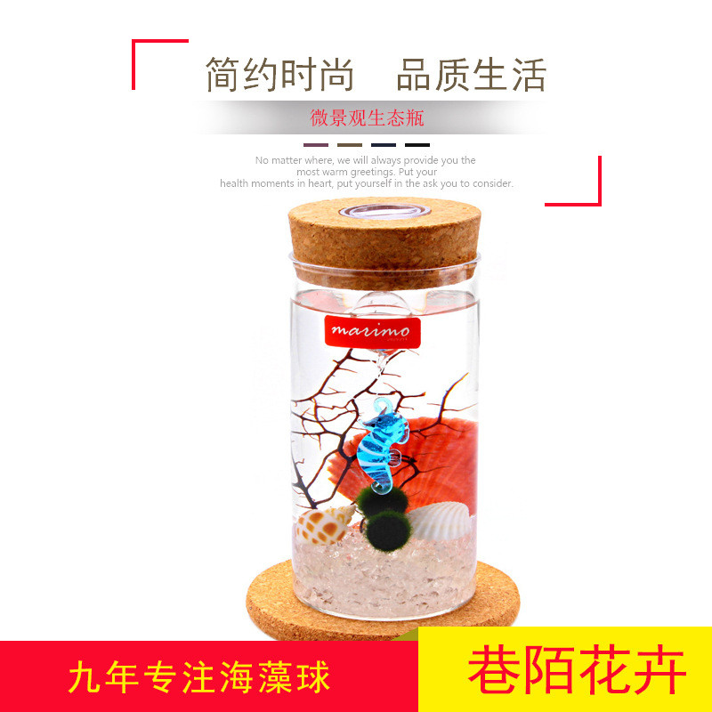 marimo幸福海藻球生态瓶迷你绿植水培植物球藻微景观桌面DIY盆栽