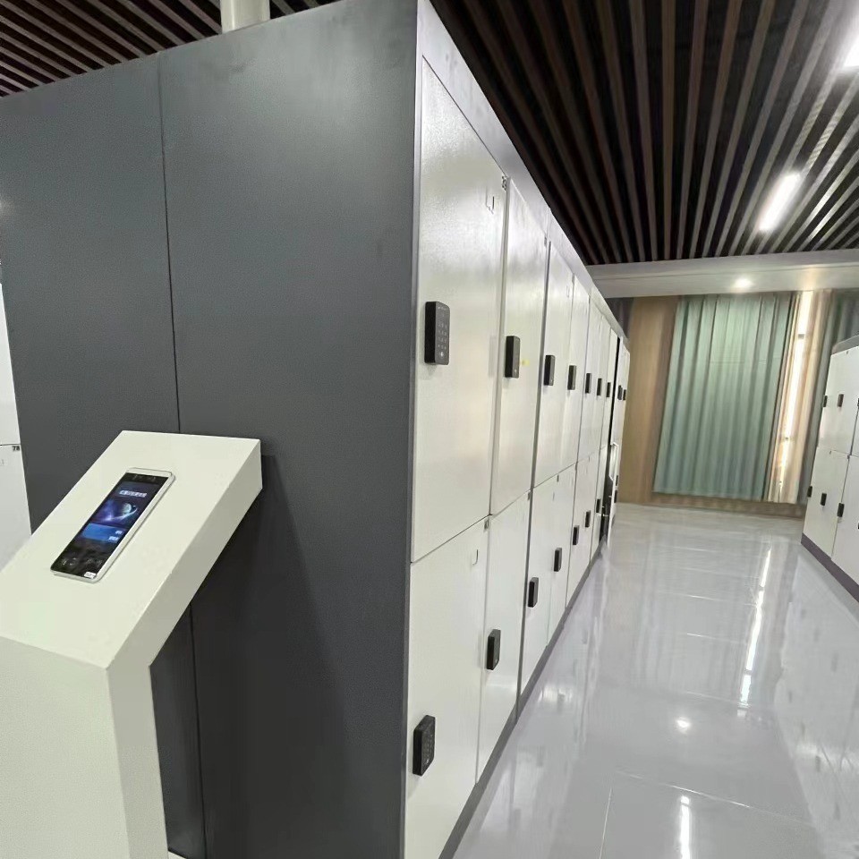 热销防火阻燃更衣柜澡堂柜子工厂虹膜识别虹膜人脸智能识别大容量