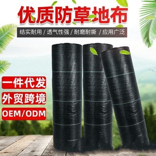 跨境pp防草布抗老化加厚保湿 透气果园黑色盖草布农业园艺除草地布