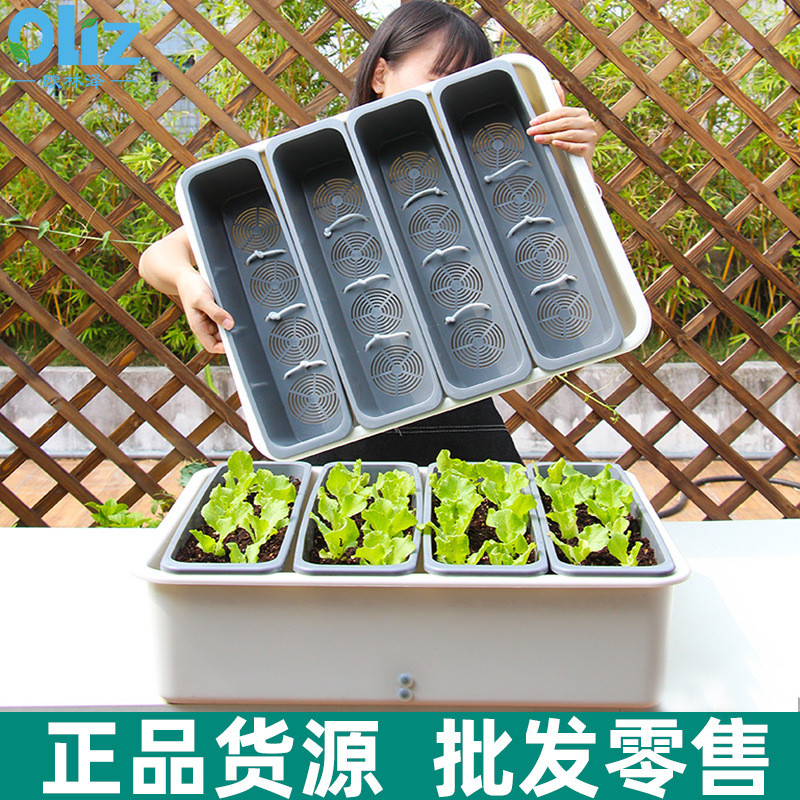 阳台种菜神器自动吸水塑料花盆庭院种菜水培蔬菜种植盆加厚
