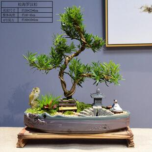 松海罗汉松盆景带室内绿植盆栽禅意趣味书房茶室摆件造型底座盆景