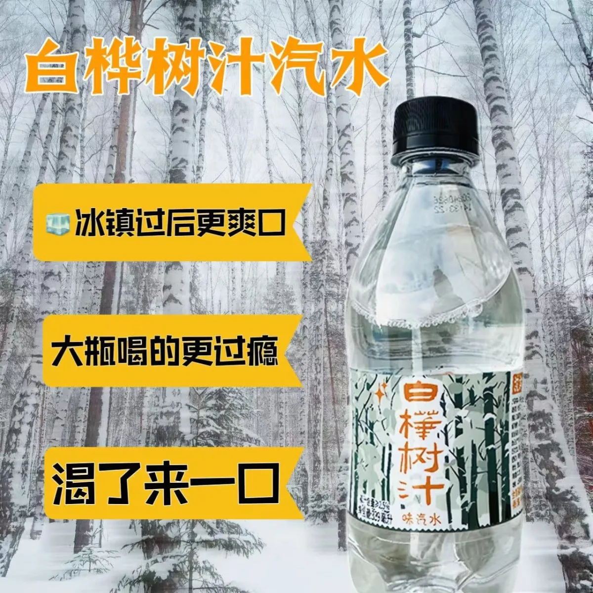 白桦树汁汽水港中花瓶装东北特产怀旧整箱饮料碳酸饮品饮料