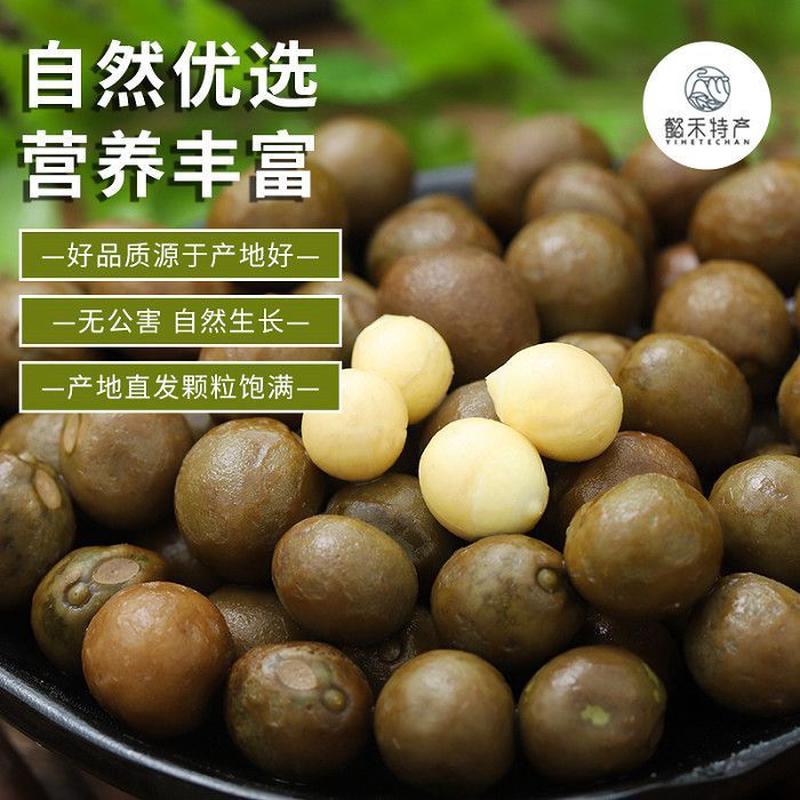 新日期天长龙岗新鲜野生鸡头果带壳鸡头青实二米茨特等产地直发包