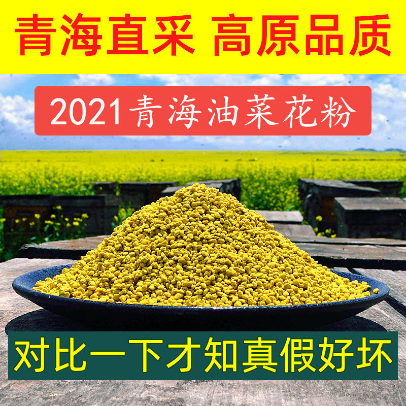 新货青海油菜破壁食用新鲜蜂花粉花粉天然前列高品质油菜花粉