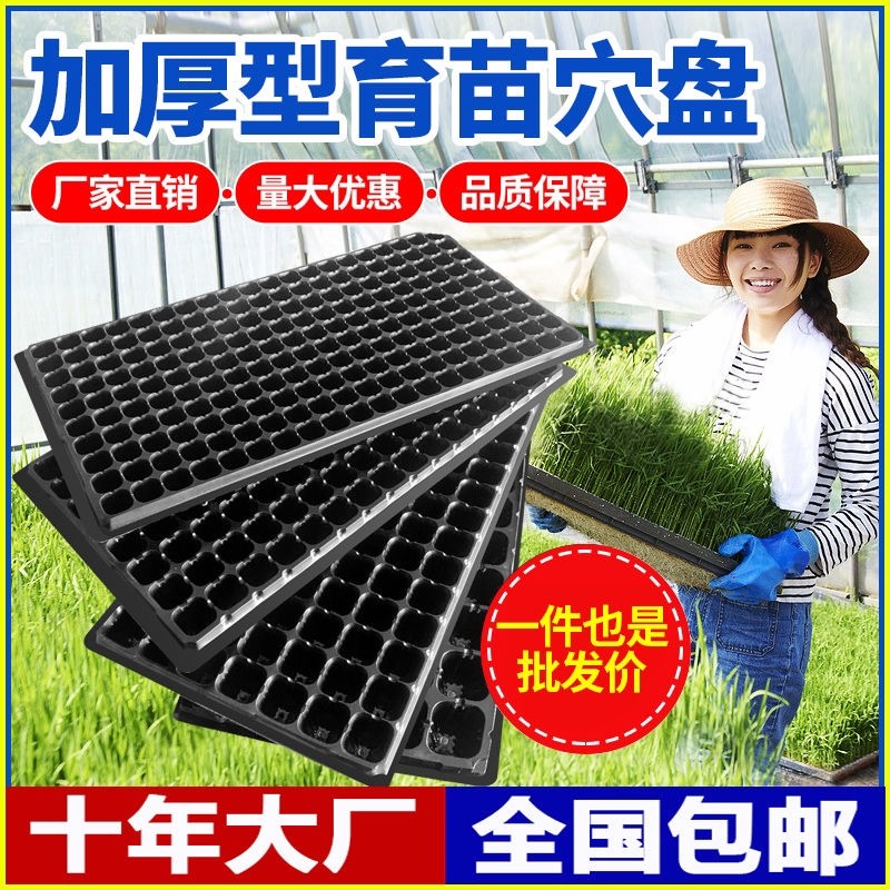现货育苗穴盘育苗盘种植蔬菜塑料秧盘营养钵育苗器扦插托盘