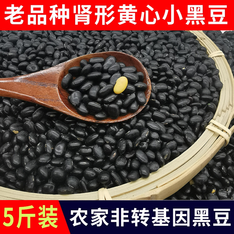 老品种山西肾型黄心小黑豆当季生豆芽打豆浆专用黄芯腰型药用黑豆