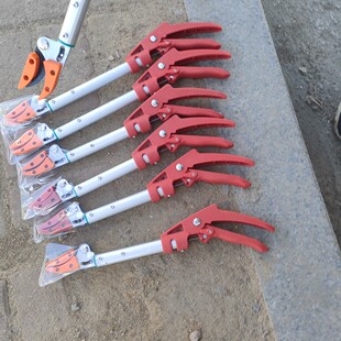 厂家直销剪玫瑰花剪子花农专用修枝剪子玫瑰抬剪