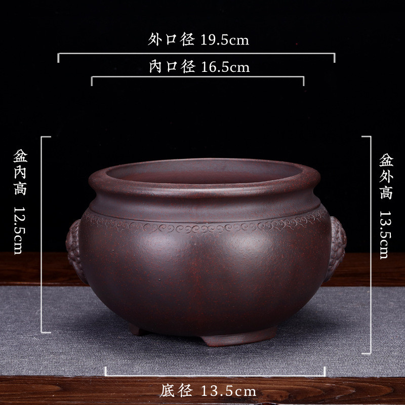 紫砂花盆圆形园艺兰花盆蝴蝶兰吊兰蕙兰君子兰阳台盆景盆简约陶瓷