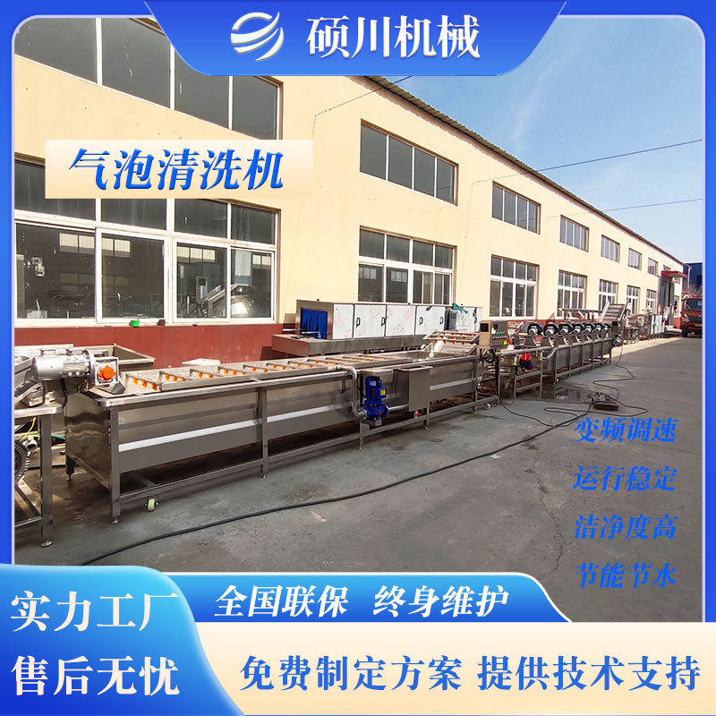 红薯梗贡菜气泡清洗机裙带菜海带喷淋式洗菜机山芹香菜清洗设备,清洗/食品/商业设备,果蔬加工设备,淘宝优惠券,粉丝福利购,淘宝优惠卷