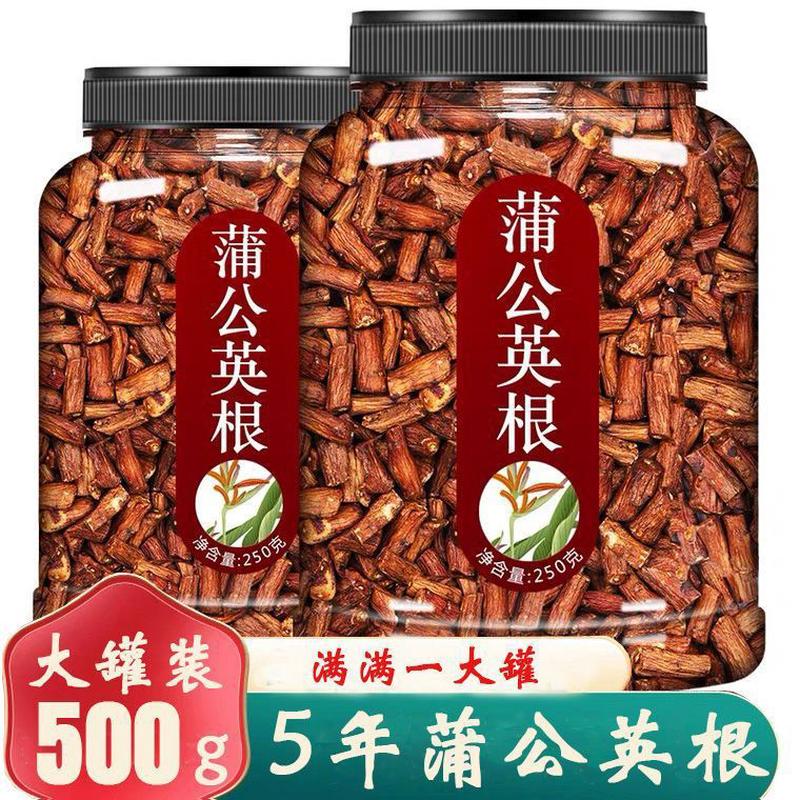 新日期蒲公英根茶肝火旺婆婆长白山野生蒲公英根炒熟丁根茶罐装包