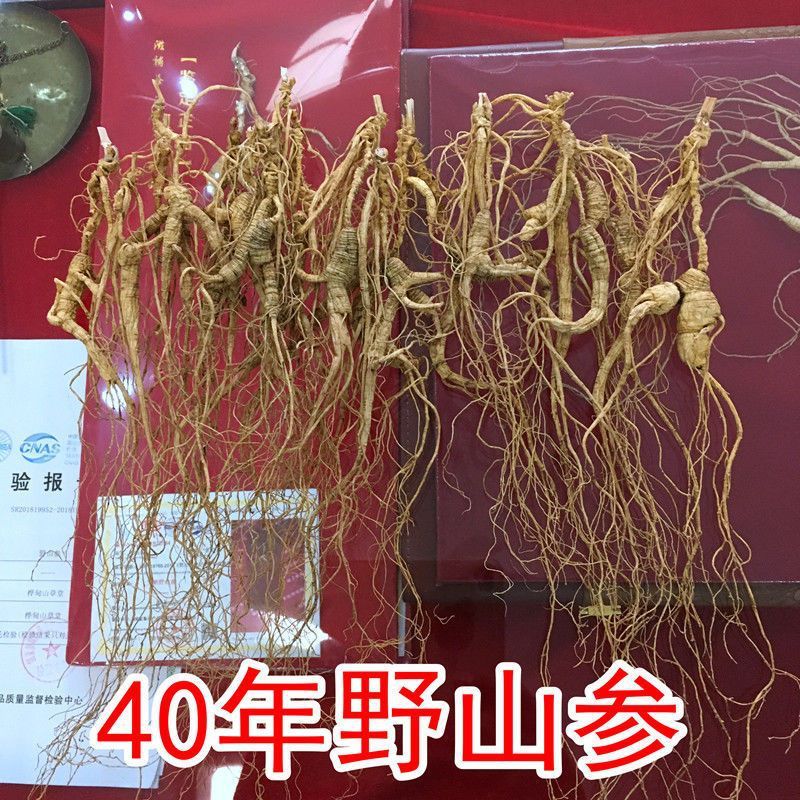 新货人参 礼盒装 长白山人参 40年野生林下参野山参包装