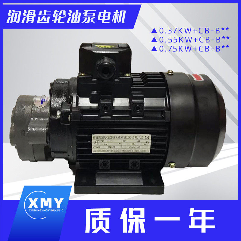 CB-B6/B10/B4/B2.5齿轮泵液压油泵电机组370W/550W润滑油泵头总成