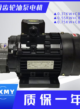 CB-B6/B10/B4/B2.5齿轮泵液压油泵电机组370W/550W润滑油泵头总成