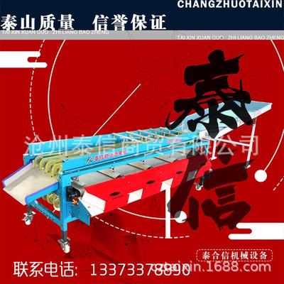 热销泰信牌轨道式可调节小金星山楂筛选机山楂选果机山楂分级机
