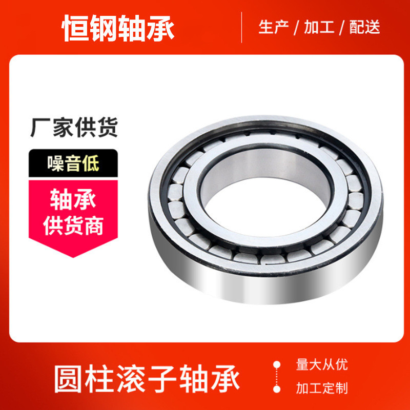密封双列满装圆柱滚子轴承SL04  5006PP  NNF5006ADA-2LSV