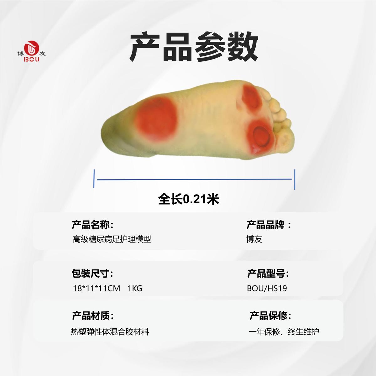 热销tnb足护理模型工具训练模具老年人脚部pvc设备hs19