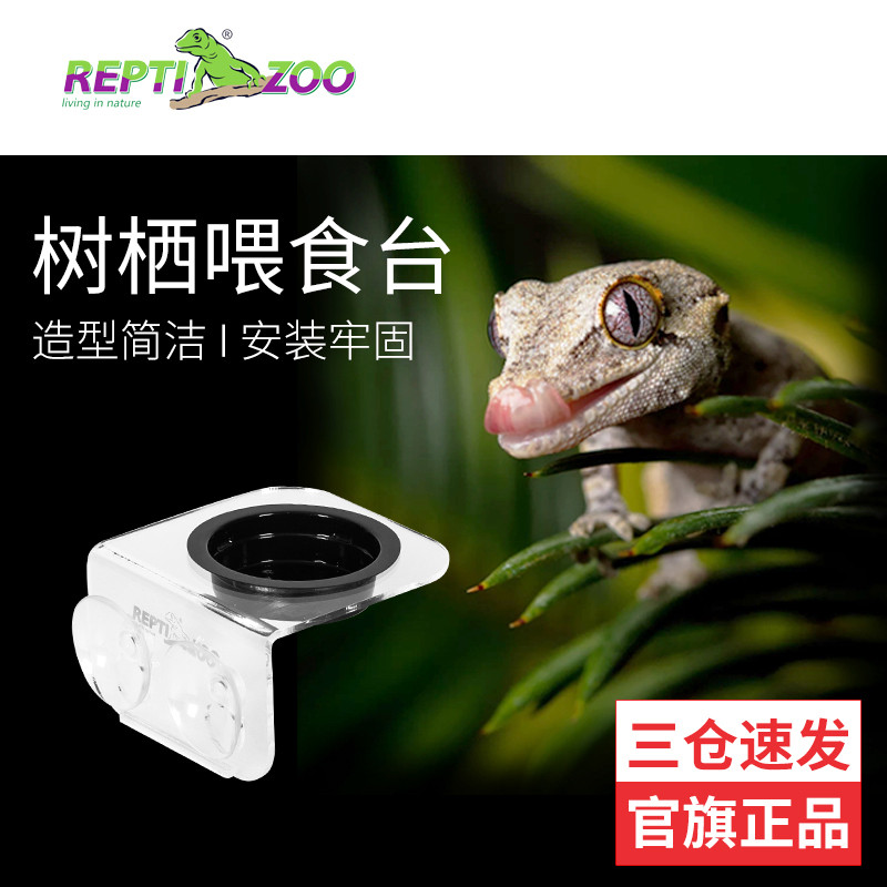 reptizoo爬虫睫角守宫食盆水盆蜥蜴食盆甲虫果冻台睫角守宫果泥盆