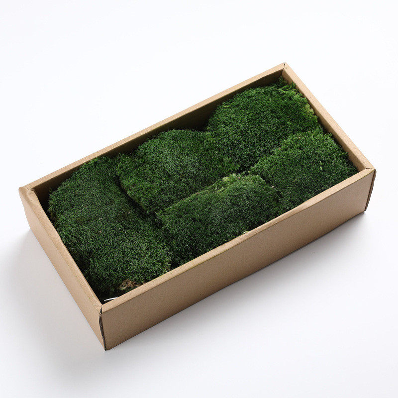 苔藓仿真厂家块状批发背景鹿蕊藓mossdiy白发藓植物墙装饰微景观